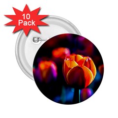 Red Tulips 2 25  Buttons (10 Pack)  by FunnyCow
