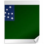 Flag of the Green Mountain Boys Canvas 16  x 20 