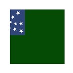 Flag of the Green Mountain Boys Small Satin Scarf (Square)