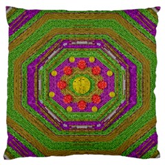 Flowers In Rainbows For Ornate Joy Large Flano Cushion Case (two Sides) by pepitasart