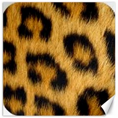 Animal Print Leopard Canvas 16  X 16 