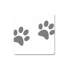 Pets Footprints Square Magnet by Hansue
