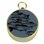 Carp fish Gold Compasses