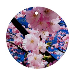 Flower Cherry Wood Tree Flowers Round Ornament (two Sides) by Sapixe