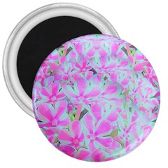 Hot Pink And White Peppermint Twist Flower Petals 3  Magnets by myrubiogarden