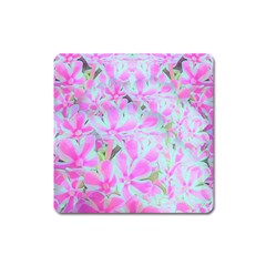 Hot Pink And White Peppermint Twist Flower Petals Square Magnet by myrubiogarden