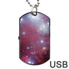 Christmas Tree Cluster Red Stars Nebula Constellation Astronomy Dog Tag Usb Flash (one Side) by genx