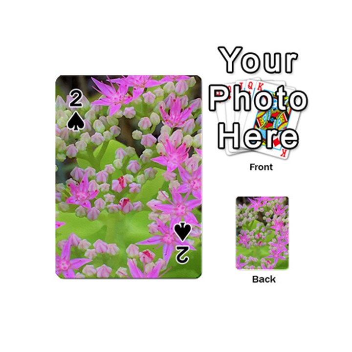 Hot Pink Succulent Sedum With Fleshy Green Leaves Playing Cards 54 (Mini)