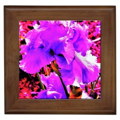 Abstract Ultra Violet Purple Iris On Red And Pink Framed Tiles