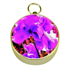 Abstract Ultra Violet Purple Iris On Red And Pink Gold Compasses by myrubiogarden