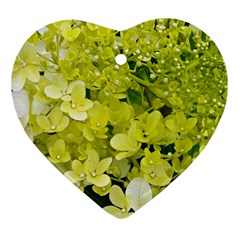 Elegant Chartreuse Green Limelight Hydrangea Macro Ornament (heart) by myrubiogarden