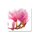 Wild Magnolia flower Square Magnet