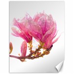 Wild Magnolia flower Canvas 18  x 24 