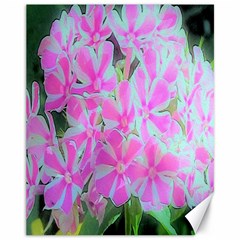 Hot Pink And White Peppermint Twist Garden Phlox Canvas 11  X 14  by myrubiogarden