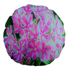 Hot Pink And White Peppermint Twist Garden Phlox Large 18  Premium Round Cushions by myrubiogarden