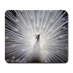 Peacock White Bird Nature Large Mousepads by Wegoenart