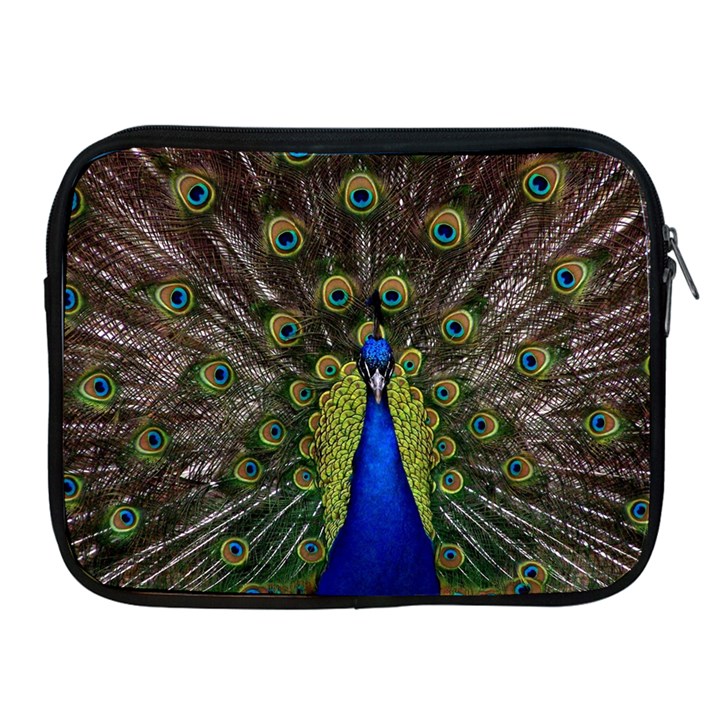 Peacock Bird Plumage Display Full Apple iPad 2/3/4 Zipper Cases