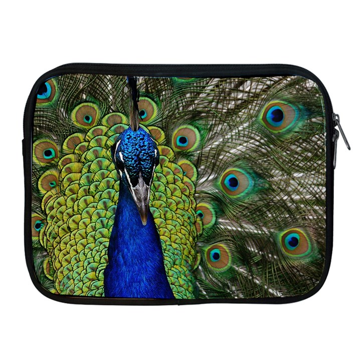 Peacock Close Up Plumage Bird Head Apple iPad 2/3/4 Zipper Cases