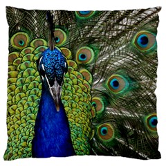 Peacock Close Up Plumage Bird Head Standard Flano Cushion Case (two Sides) by Wegoenart