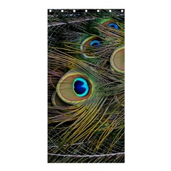 Peacock Tail Feathers Close Up Shower Curtain 36  X 72  (stall)  by Pakrebo