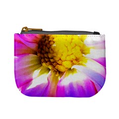 Purple, Pink And White Dahlia With A Bright Yellow Center Mini Coin Purse by myrubiogarden