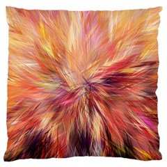 Color Background Structure Lines Large Flano Cushion Case (two Sides) by Mariart