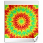 Kaleidoscope Background Mandala Red green Canvas 16  x 20 