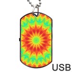 Kaleidoscope Background Mandala Red green Dog Tag USB Flash (One Side)