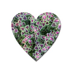 Ivy Lace Flower Flora Garden Heart Magnet by Pakrebo