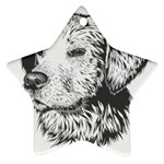Dog Animal Domestic Animal Doggie Ornament (Star)