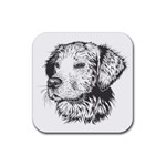 Dog Animal Domestic Animal Doggie Rubber Coaster (Square) 