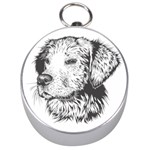 Dog Animal Domestic Animal Doggie Silver Compasses