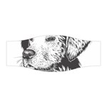 Dog Animal Domestic Animal Doggie Stretchable Headband