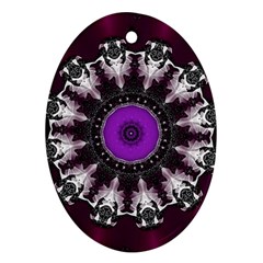 Kaleidoscope Round Circle Geometry Ornament (oval) by Pakrebo