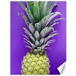 Pineapple Purple Canvas 36  x 48 