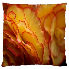 Flowers Leaves Leaf Floral Summer Large Flano Cushion Case (one Side) by Sudhe