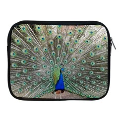 Peacock Bird Animal Feather Apple Ipad 2/3/4 Zipper Cases by Pakrebo