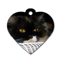 Cat Wanna Study Dog Tag Heart (two Sides) by LoolyElzayat