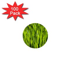 Agricultural Field   1  Mini Buttons (100 Pack) 