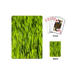 Agricultural Field   Playing Cards (mini) by rsooll