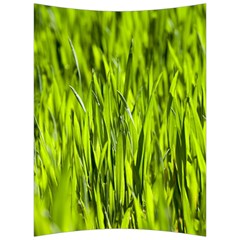 Agricultural Field   Back Support Cushion by rsooll