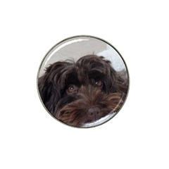 Laying In Dog Bed Hat Clip Ball Marker (10 Pack) by pauchesstore