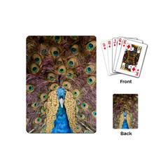 Peacock Feather Peacock Feather Playing Cards (mini) by Pakrebo