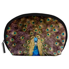 Peacock Feather Peacock Feather Accessory Pouch (large)