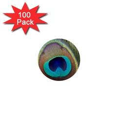Peacock Feather Close Up Macro 1  Mini Buttons (100 Pack)  by Pakrebo