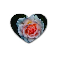 Favorite Rose  Heart Coaster (4 Pack)  by okhismakingart