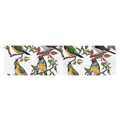 Vintage Birds Satin Scarf (oblong) by Valentinaart