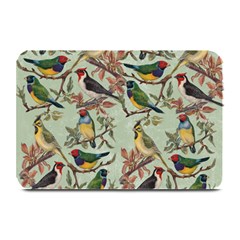 Vintage Birds Plate Mats