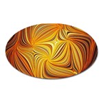 Electric Field Art LI Oval Magnet