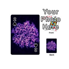 Queen Annes Lace In Purple And White Playing Cards 54 (mini) by okhismakingart